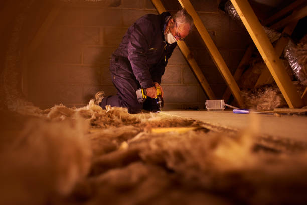 Best Residential Insulation in Walkertown, NC