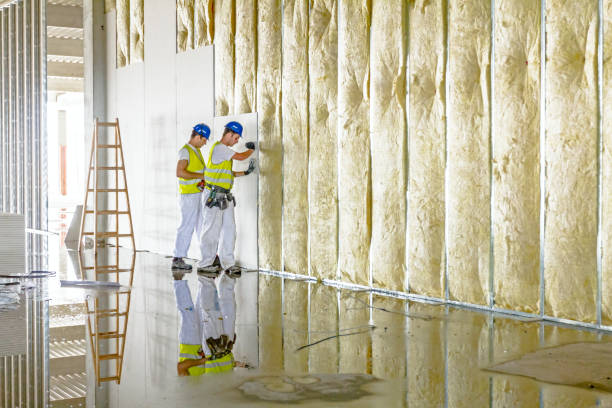 Best Spray Foam Insulation in Walkertown, NC